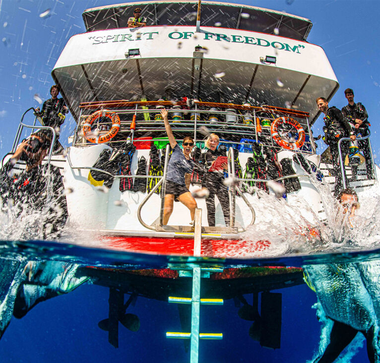 Cairns liveaboard diving - Spirit of Freedom