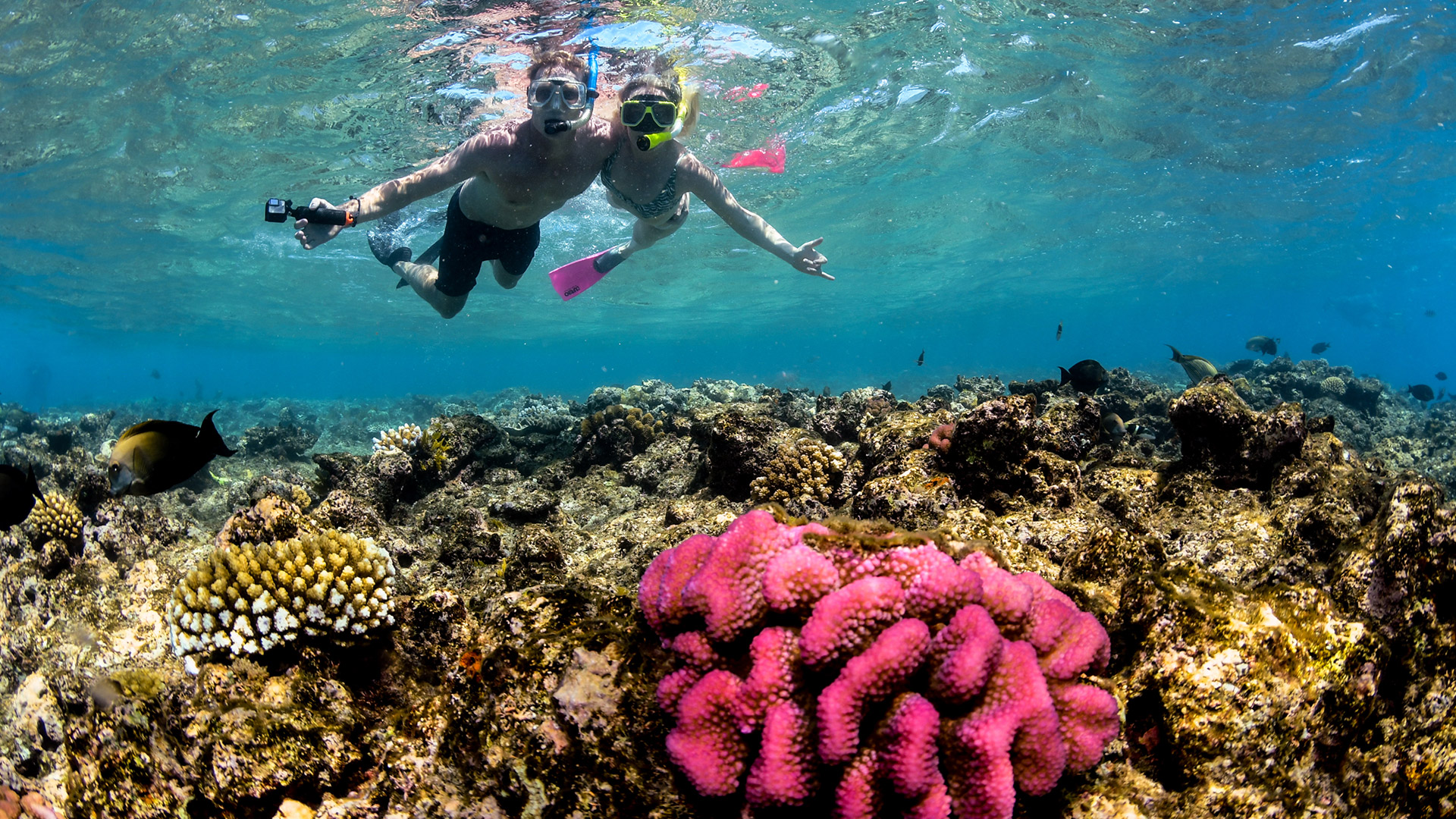 cairns-visitor-info-cairns-activities-great-barrier-reef-trips